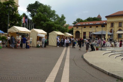DSC05883