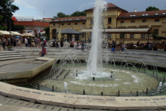 DSC05884